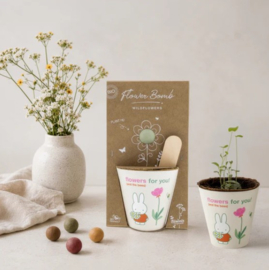 Blossombs zaadbommetje Grow Kit - Nijntje "Flowers for You!"
