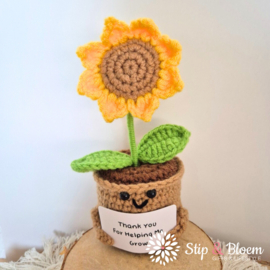XL Geluksknuffeltje Positive Sunflower