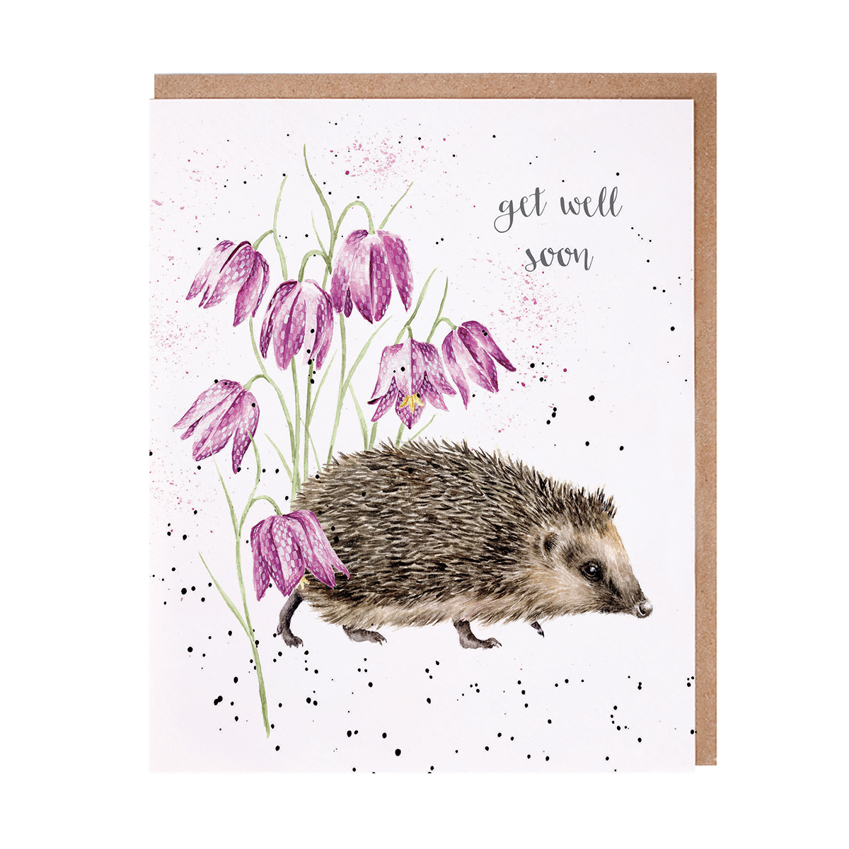 Wrendale greeting card "Get Well Soon" - egel