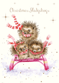 Wrendale Christmas Card Pack "Sledgehogs"