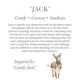 Wrendale knuffel ezel "Jack" - giant