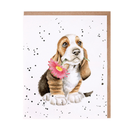 Wrendale greeting card - "Just for You" - hond