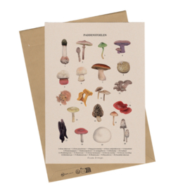 Lonneke Grimbergen A4 art print - Paddenstoelen