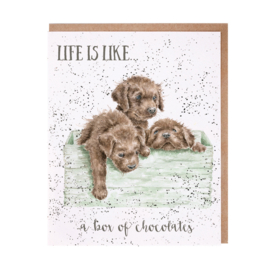 Wrendale greeting card "Box Of Chocolates" - labrador