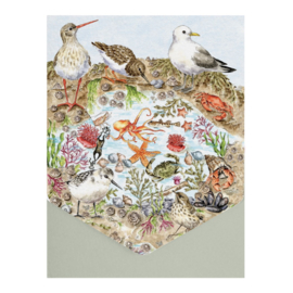 Wrendale Nature Notecard Pack - "Secrets of the Sea"