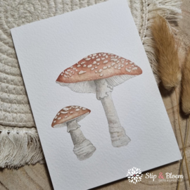 Appeloogje ansichtkaart - paddenstoelen