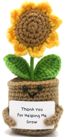 XL Geluksknuffeltje Positive Sunflower