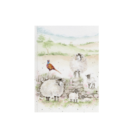 Wrendale A6 Paperback Notebook "New Pastures" - schaap