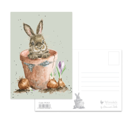Wrendale postcard "The Flower Pot" - konijn