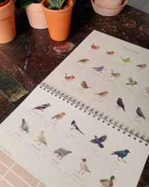 Lonneke Grimbergen Luxe Verjaardagskalender Tuinvogels