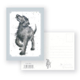 Wrendale postcard "Walkies" - hond