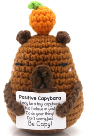 Geluksknuffeltje Positive Capibara