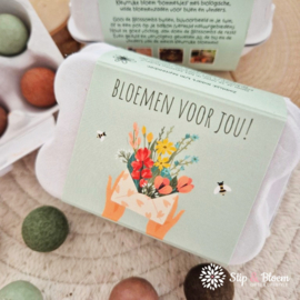 Blossombs 6 zaadbommetjes - Eierdoosje Bloemen voor jou!