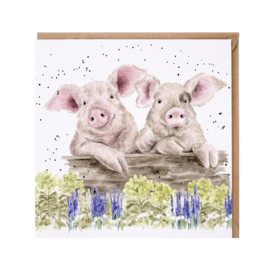 Wrendale greeting card - "Nosy Neigh-boars" - varken
