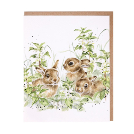 Wrendale greeting card - "Spring Hares" - haas
