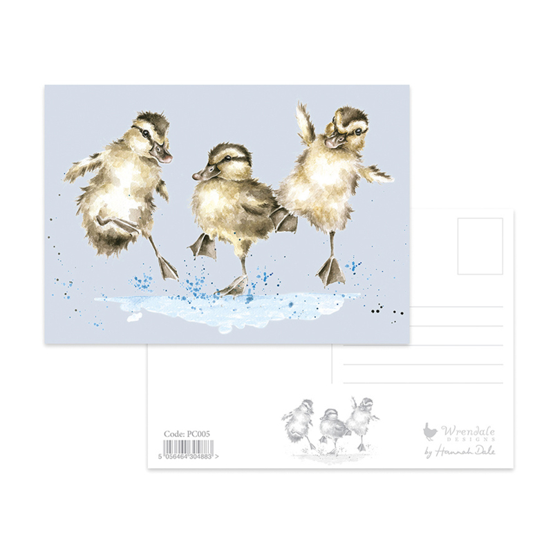 Wrendale postcard "Puddle Ducks" - eend