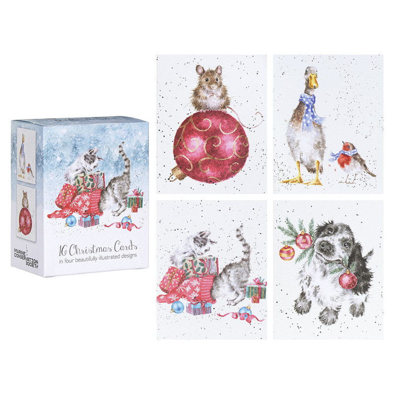 Wrendale Boxed Mini Charity Christmas Cards  "Kitten" - set van 16