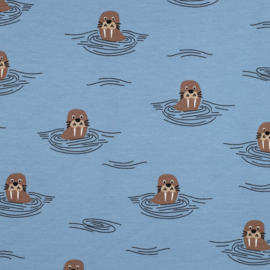 French Terry  - Walruses - Blue