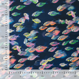 Swimwear UPF 50+ - Chlorinated Resistance - Fishes - Navy