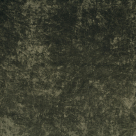 Velvet Stretch  | Green 027
