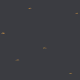 Atelier Brunette |  Sunset Night Fabric