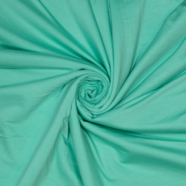 Tricot Bamboo Jersey | Mint 743