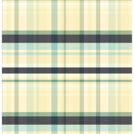 Fibremood  38  - Woven Tencel Nylon  - Check   - Rima