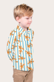 Katoen Poplin Print - Lobster - Stripes