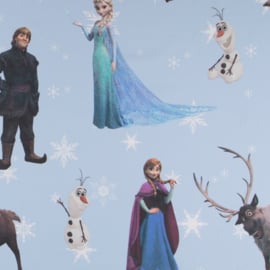 Decostof | Frozen -  Disney