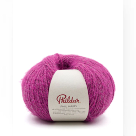 Phil Hairy -  Violette