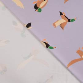 French Terry - Print -  Ducks   - Lavender