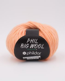 Phil Big wool | Pamplemousse*