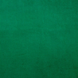 Ribcord washed  ( brede rib 4,5w) | Groen 040
