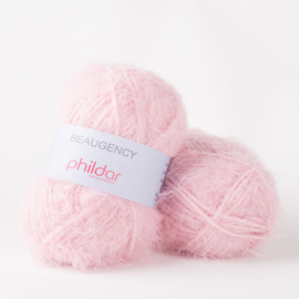 BEAUGENCY | Rose The*