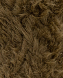 Phil Inuit - Kaki