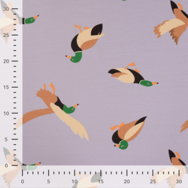 French Terry - Print -  Ducks   - Lavender