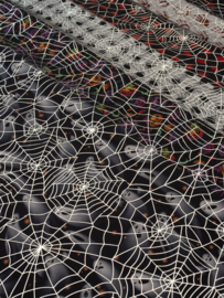 Swafing Tule - Spiderweb