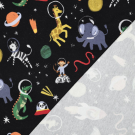 Verhees  Sweat  - Space Animals