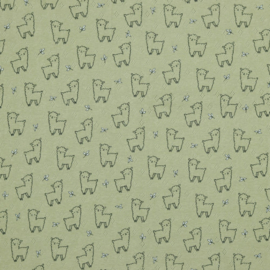 Pointelle - Verhees Textiles - Sweet Alpaca - Mint