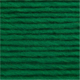 Rico Design - Essentials - Super Aran - Green 013