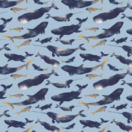 Dolphins | lichtblauw | ideaal voor zwembroeken