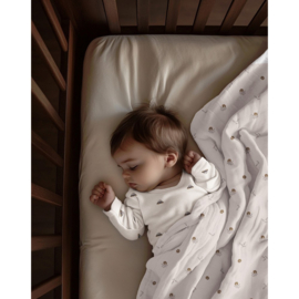 Verhees Textiles - Rib Jersey Organic - Cars - Natural