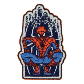 Applicatie Spiderman 5620