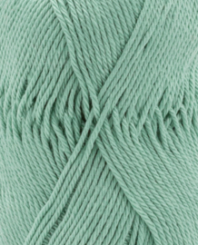 Phil COTON 3 | Vert Pastel