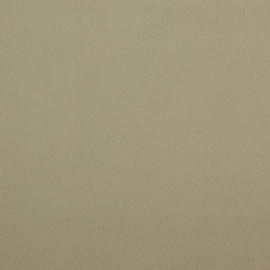 Jeans stretch | Beige 040