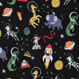 Verhees  Sweat  - Space Animals