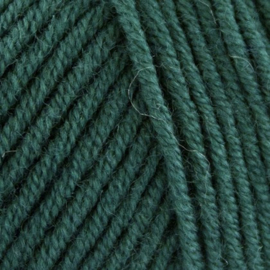 Superfine Merino | flessengroen | R055