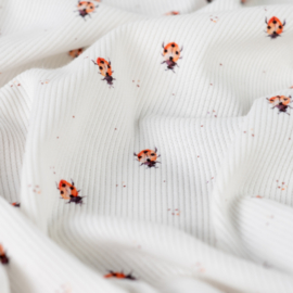 Tricot Rib - Ladybug  - Ecru