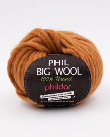 Phil Big wool | Cannelle*