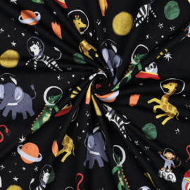 Verhees  Sweat  - Space Animals